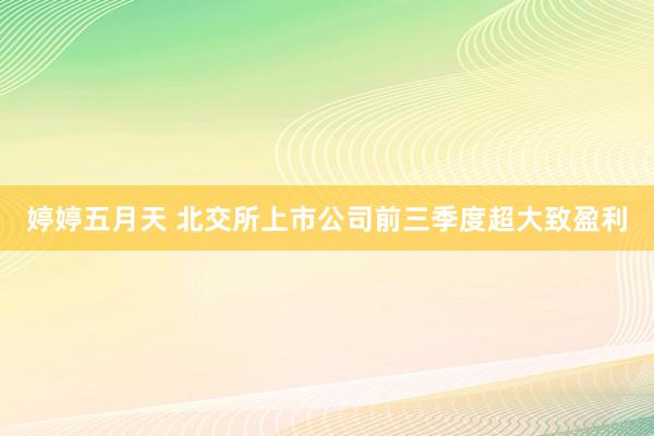 婷婷五月天 北交所上市公司前三季度超大致盈利