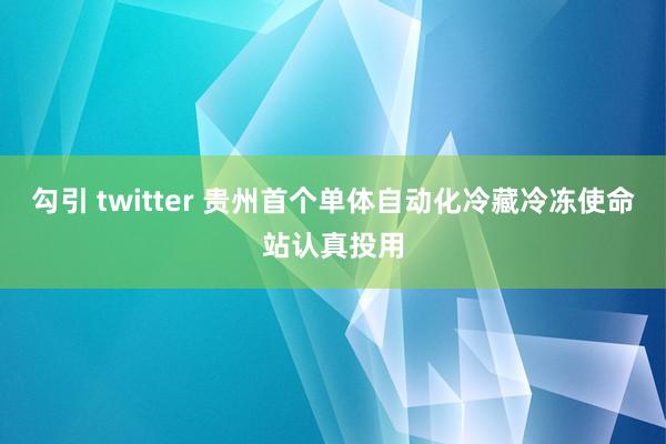 勾引 twitter 贵州首个单体自动化冷藏冷冻使命站认真投用