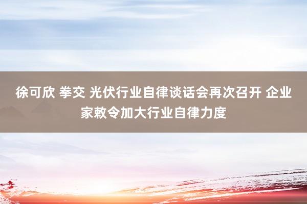 徐可欣 拳交 光伏行业自律谈话会再次召开 企业家敕令加大行业自律力度
