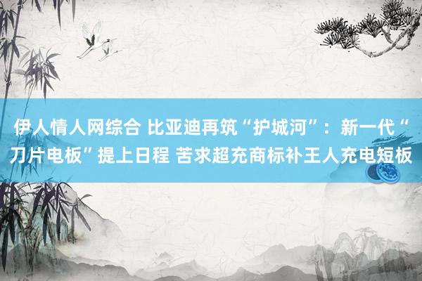 伊人情人网综合 比亚迪再筑“护城河”：新一代“刀片电板”提上日程 苦求超充商标补王人充电短板