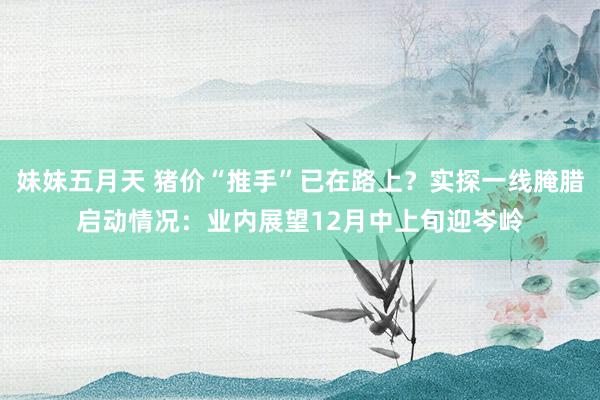 妹妹五月天 猪价“推手”已在路上？实探一线腌腊启动情况：业内展望12月中上旬迎岑岭