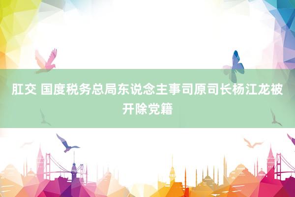 肛交 国度税务总局东说念主事司原司长杨江龙被开除党籍