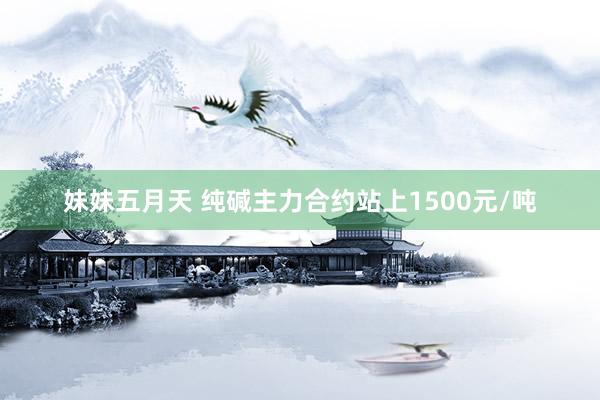 妹妹五月天 纯碱主力合约站上1500元/吨