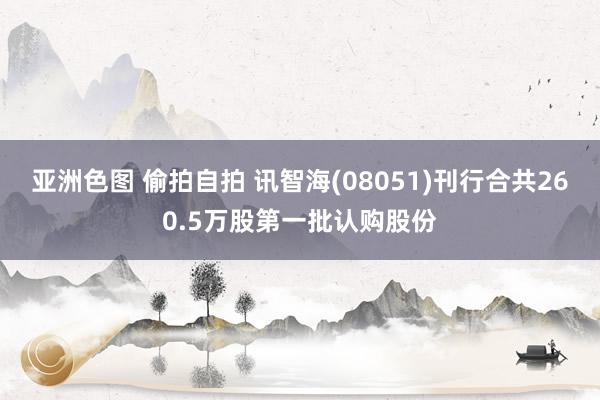 亚洲色图 偷拍自拍 讯智海(08051)刊行合共260.5万股第一批认购股份