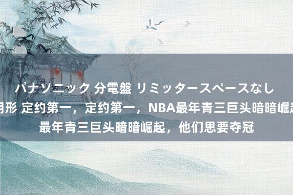 パナソニック 分電盤 リミッタースペースなし 露出・半埋込両用形 定约第一，定约第一，NBA最年青三巨头暗暗崛起，他们思要夺冠