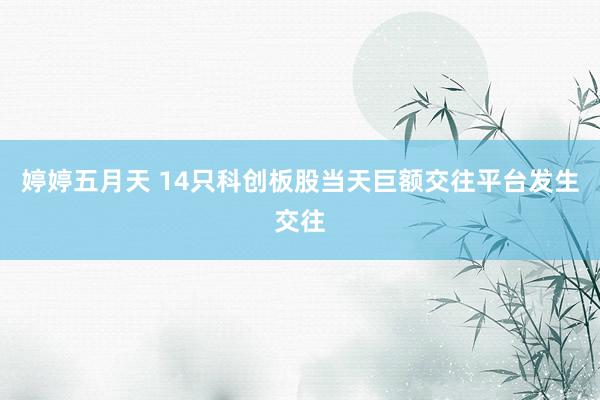 婷婷五月天 14只科创板股当天巨额交往平台发生交往