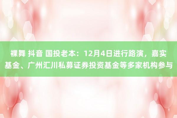 裸舞 抖音 国投老本：12月4日进行路演，嘉实基金、广州汇川私募证券投资基金等多家机构参与