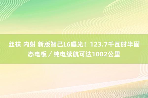 丝袜 内射 新版智己L6曝光！123.7千瓦时半固态电板／纯电续航可达1002公里