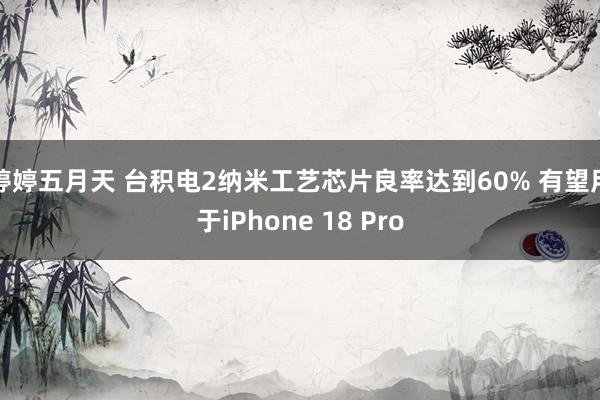 婷婷五月天 台积电2纳米工艺芯片良率达到60% 有望用于iPhone 18 Pro