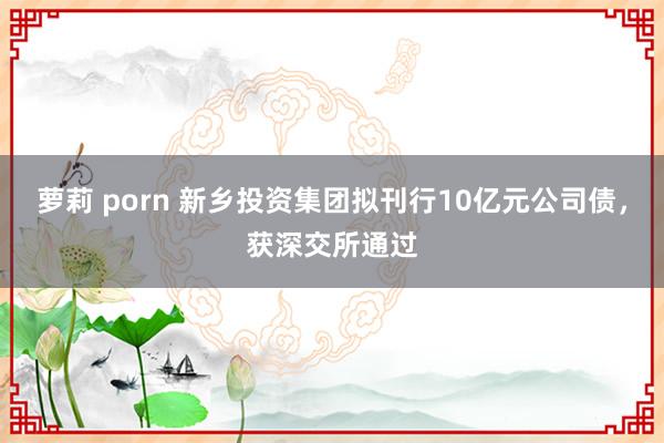 萝莉 porn 新乡投资集团拟刊行10亿元公司债，获深交所通过