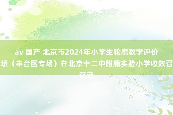 av 国产 北京市2024年小学生轮廓教学评价论坛（丰台区专场）在北京十二中附庸实验小学收效召开