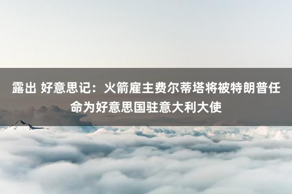 露出 好意思记：火箭雇主费尔蒂塔将被特朗普任命为好意思国驻意大利大使