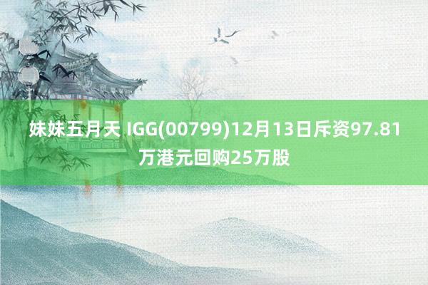 妹妹五月天 IGG(00799)12月13日斥资97.81万港元回购25万股