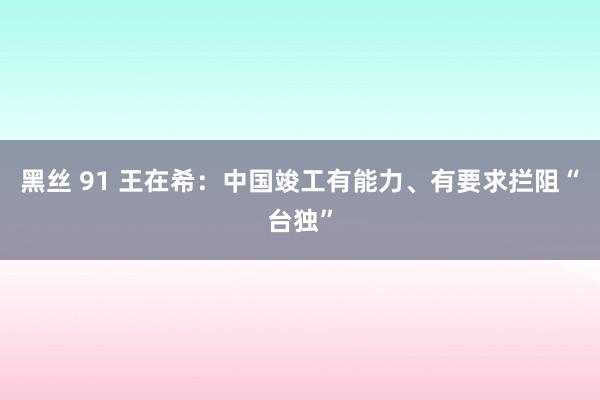 黑丝 91 王在希：中国竣工有能力、有要求拦阻“台独”