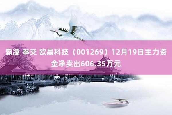 霸凌 拳交 欧晶科技（001269）12月19日主力资金净卖出606.35万元