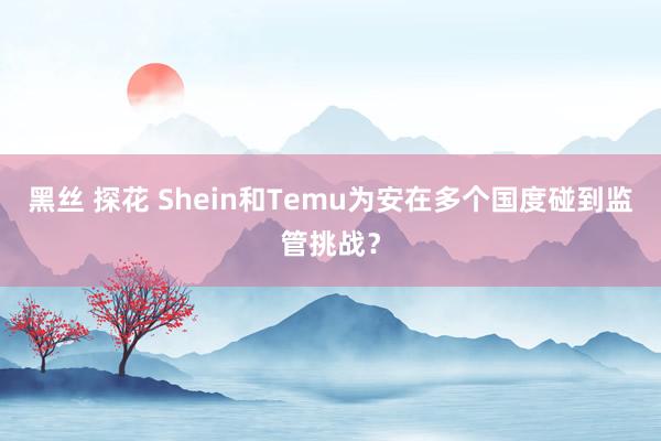 黑丝 探花 Shein和Temu为安在多个国度碰到监管挑战？