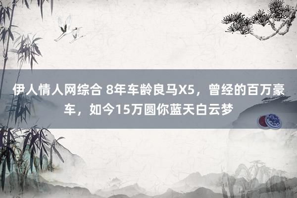伊人情人网综合 8年车龄良马X5，曾经的百万豪车，如今15万圆你蓝天白云梦