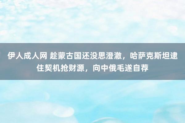 伊人成人网 趁蒙古国还没思澄澈，哈萨克斯坦逮住契机抢财源，向中俄毛遂自荐