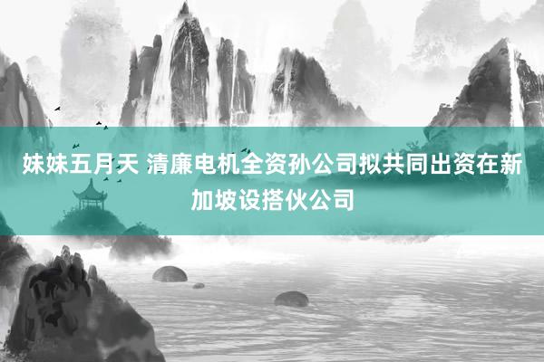 妹妹五月天 清廉电机全资孙公司拟共同出资在新加坡设搭伙公司