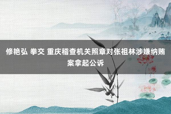 修艳弘 拳交 重庆稽查机关照章对张祖林涉嫌纳贿案拿起公诉