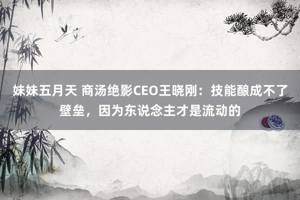 妹妹五月天 商汤绝影CEO王晓刚：技能酿成不了壁垒，因为东说念主才是流动的