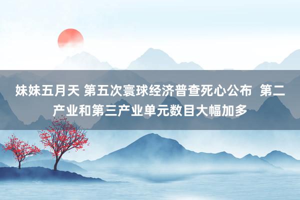 妹妹五月天 第五次寰球经济普查死心公布  第二产业和第三产业单元数目大幅加多