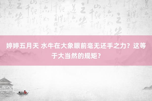 婷婷五月天 水牛在大象眼前毫无还手之力？这等于大当然的规矩？