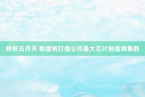 婷婷五月天 韩国将打造公共最大芯片制造商集群