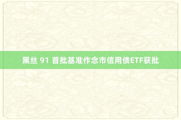 黑丝 91 首批基准作念市信用债ETF获批