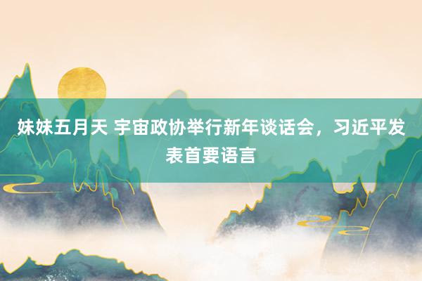 妹妹五月天 宇宙政协举行新年谈话会，习近平发表首要语言
