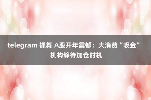 telegram 裸舞 A股开年震憾：大消费“吸金”  机构静待加仓时机