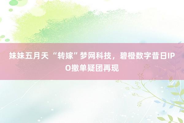 妹妹五月天 “转嫁”梦网科技，碧橙数字昔日IPO撤单疑团再现