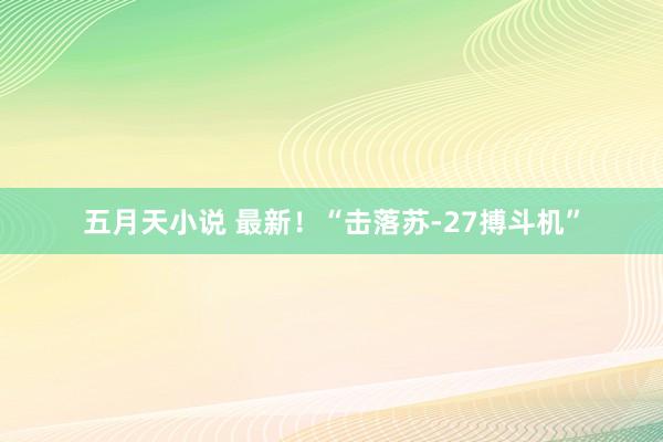 五月天小说 最新！“击落苏-27搏斗机”