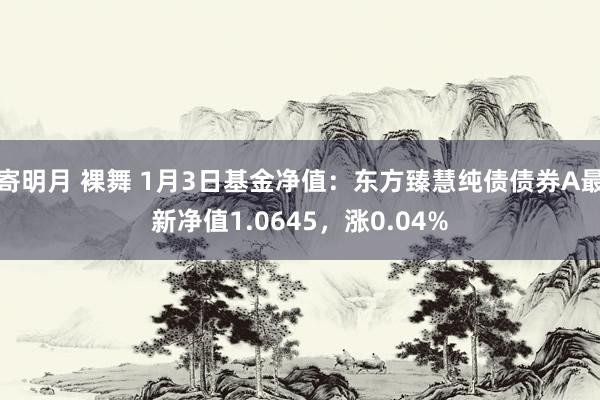 寄明月 裸舞 1月3日基金净值：东方臻慧纯债债券A最新净值1.0645，涨0.04%