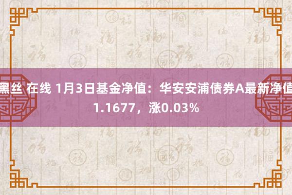 黑丝 在线 1月3日基金净值：华安安浦债券A最新净值1.1677，涨0.03%