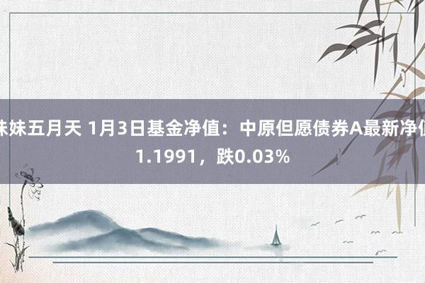 妹妹五月天 1月3日基金净值：中原但愿债券A最新净值1.1991，跌0.03%