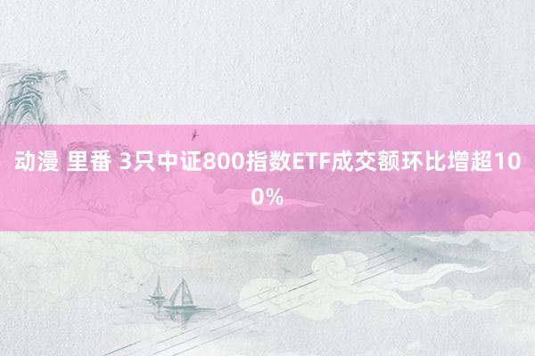 动漫 里番 3只中证800指数ETF成交额环比增超100%