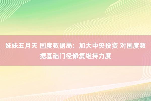 妹妹五月天 国度数据局：加大中央投资 对国度数据基础门径修复维持力度