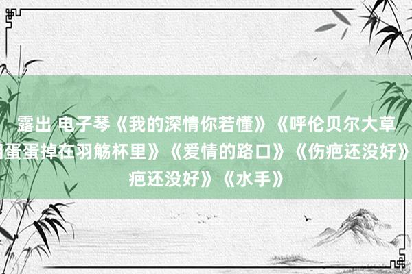 露出 电子琴《我的深情你若懂》《呼伦贝尔大草原》《泪蛋蛋掉在羽觞杯里》《爱情的路口》《伤疤还没好》《水手》
