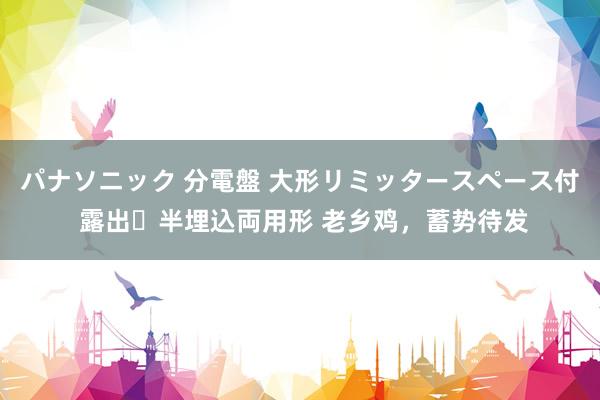 パナソニック 分電盤 大形リミッタースペース付 露出・半埋込両用形 老乡鸡，蓄势待发