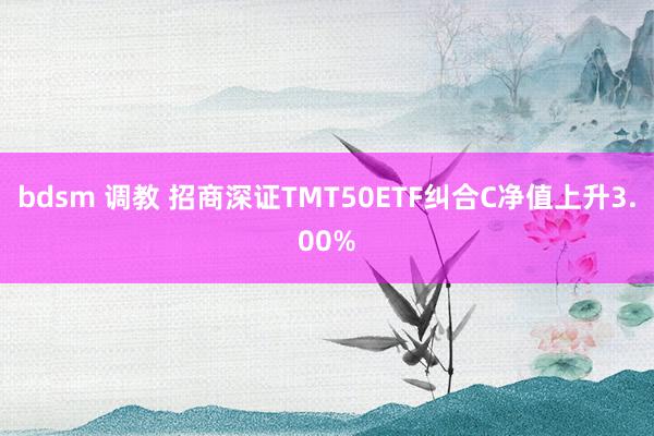 bdsm 调教 招商深证TMT50ETF纠合C净值上升3.00%