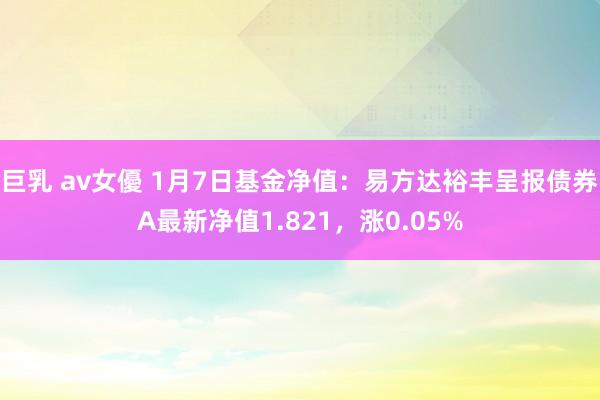 巨乳 av女優 1月7日基金净值：易方达裕丰呈报债券A最新净值1.821，涨0.05%