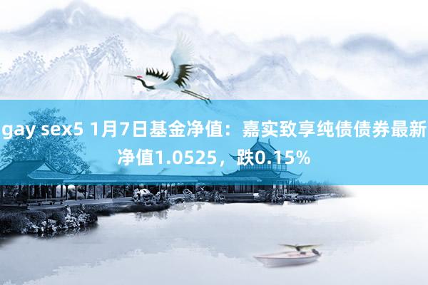 gay sex5 1月7日基金净值：嘉实致享纯债债券最新净值1.0525，跌0.15%