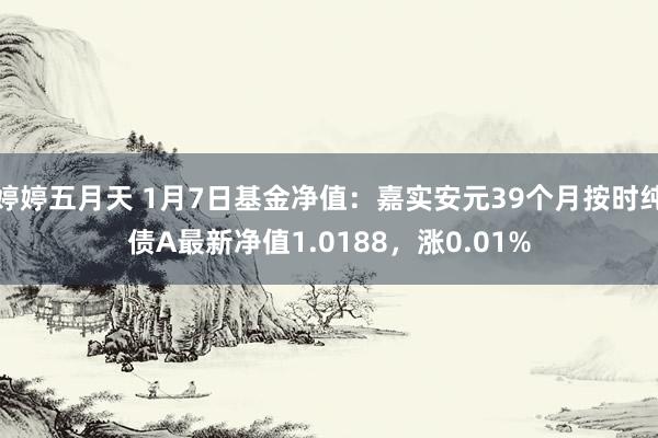 婷婷五月天 1月7日基金净值：嘉实安元39个月按时纯债A最新净值1.0188，涨0.01%