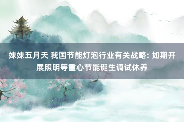 妹妹五月天 我国节能灯泡行业有关战略: 如期开展照明等重心节能诞生调试休养