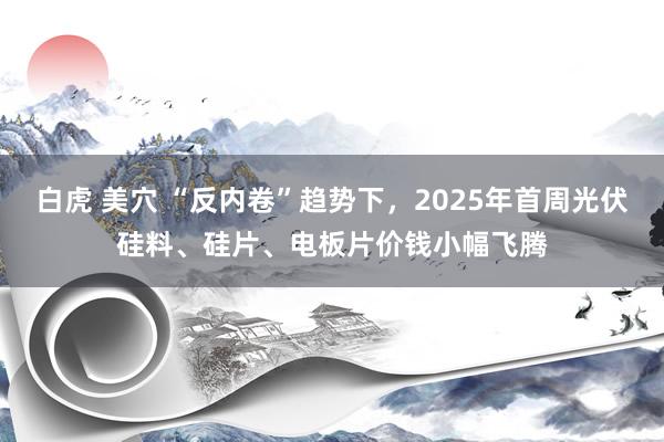 白虎 美穴 “反内卷”趋势下，2025年首周光伏硅料、硅片、电板片价钱小幅飞腾
