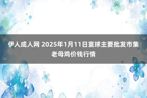 伊人成人网 2025年1月11日寰球主要批发市集老母鸡价钱行情