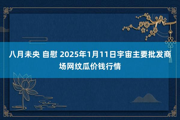 八月未央 自慰 2025年1月11日宇宙主要批发商场网纹瓜价钱行情