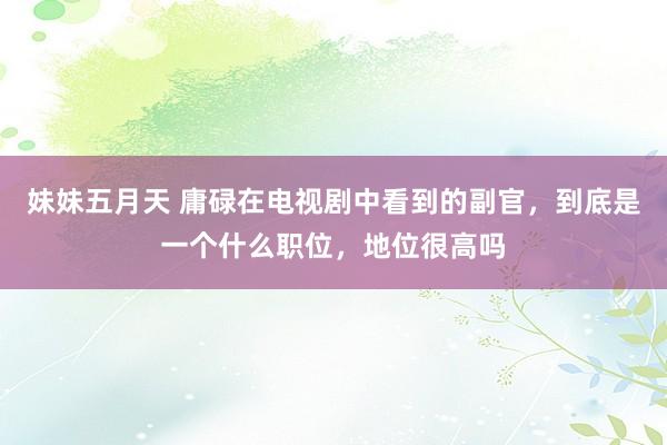 妹妹五月天 庸碌在电视剧中看到的副官，到底是一个什么职位，地位很高吗