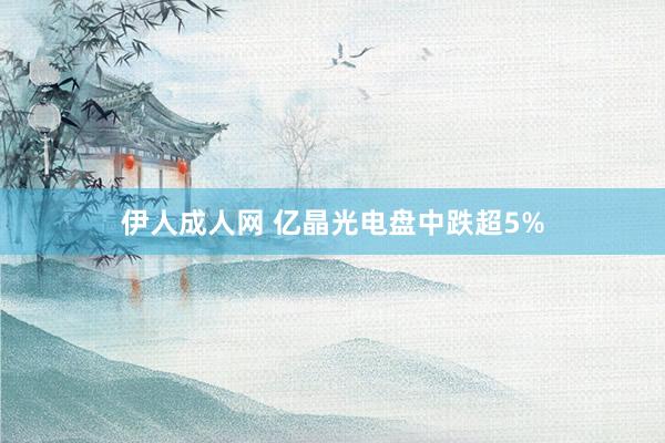 伊人成人网 亿晶光电盘中跌超5%